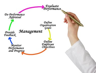 Yönetim Sürecinin Beş Bileşeni