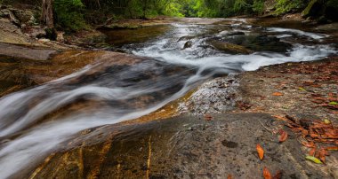 Su, bir dağ deresindeki pürüzsüz granit kayaların üzerinden akar ve düşen sonbahar yaprakları kıyı boyunca dağılır.
