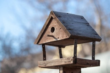 Kırsal bir kış ormanında asılı kuş yuvası