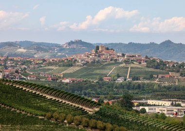 Grinzane Cavour yakınlarındaki Langhe üzüm bağları. Unesco Sitesi, Piedmont, İtalya