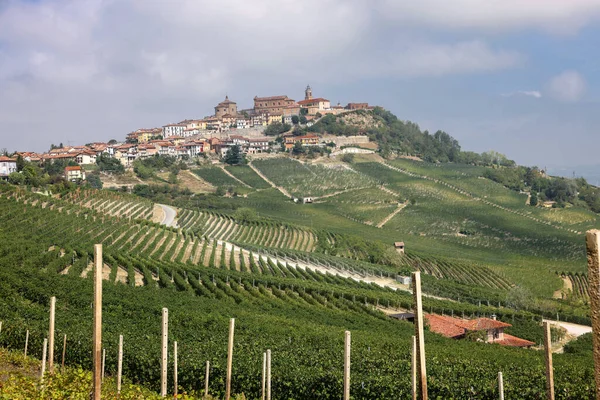 Morra Yakınlarındaki Langhe Üzüm Bağları Unesco Sitesi Piedmont Talya — Stok fotoğraf