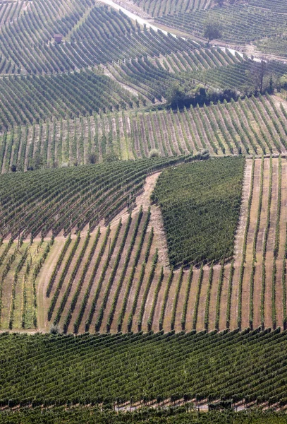Langhe Vineyards Morra Unesco Site Piemont Włochy — Zdjęcie stockowe