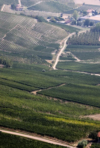 Langhe Vineyards Morra Unesco Site Piemont Włochy — Zdjęcie stockowe