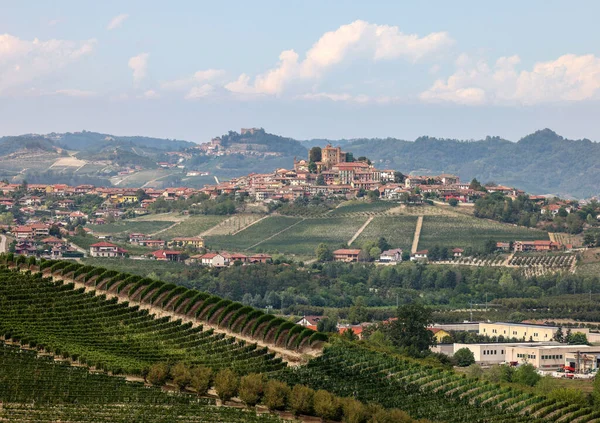 Langhe Szőlőültetvények Grinzane Cavour Közelében Unesco Site Piemont Olaszország — Stock Fotó