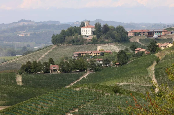Weinberge Langhe Der Nähe Von Grinzane Cavour Unesco Stätte Piemont — Stockfoto