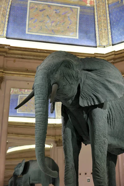 ヴェネツィア イタリア 2022年9月6日 第59回ヴェネツィア アート ビエンナーレInヴェネツィア ドイツ人画家キャサリン フリッチュの 象の眺め 1987年 — ストック写真