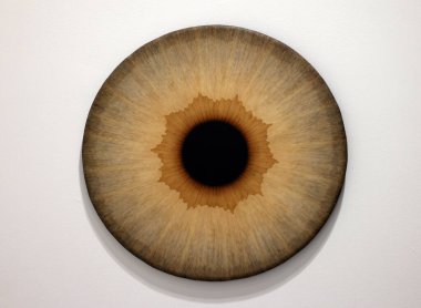 Venedik, İtalya - 6 Eylül 2022: Venedik 'te 59. Venedik Sanat Bienali. İsveçli ressam Ulla Wiggen tarafından yapılan bir dizi göz küresi resmi. Panelde akrilik