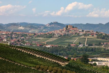 Grinzane Cavour yakınlarındaki Langhe üzüm bağları. Unesco Sitesi, Piedmont, İtalya