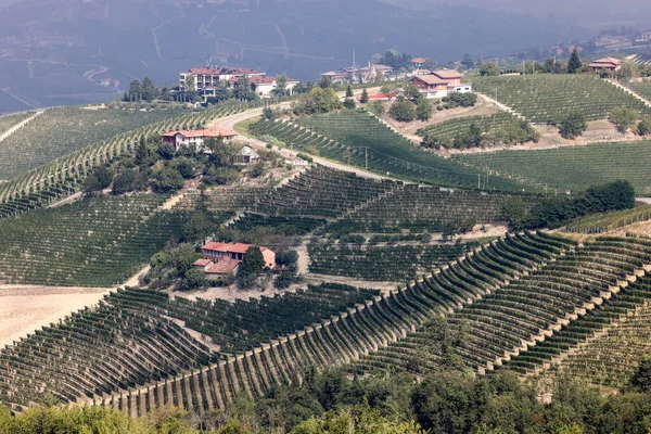 Langhe Vineyards Barolo Morra Unesco Site Piedmont Italy — Stock Photo, Image