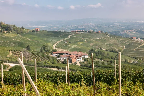 Vinhas Langhe Perto Morra Unesco Site Piemonte Itália — Fotografia de Stock
