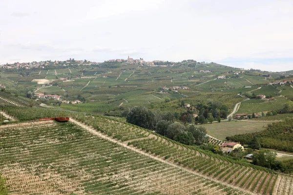 농장이야 카보우르 근처에 Unesco Site Piedmont Italy — 스톡 사진