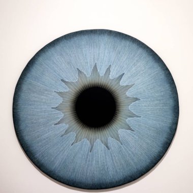 Venedik, İtalya - 6 Eylül 2022: Venedik 'te 59. Venedik Sanat Bienali. İsveçli ressam Ulla Wiggen tarafından yapılan bir dizi göz küresi resmi. Panelde akrilik