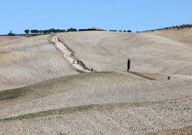  Tuscany 'deki San Quirico yakınlarındaki kırsal alan. İtalya