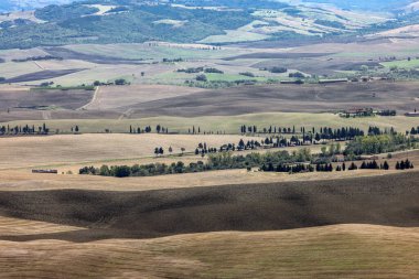  Tuscany 'deki Pienza yakınlarındaki kırsal alan. İtalya