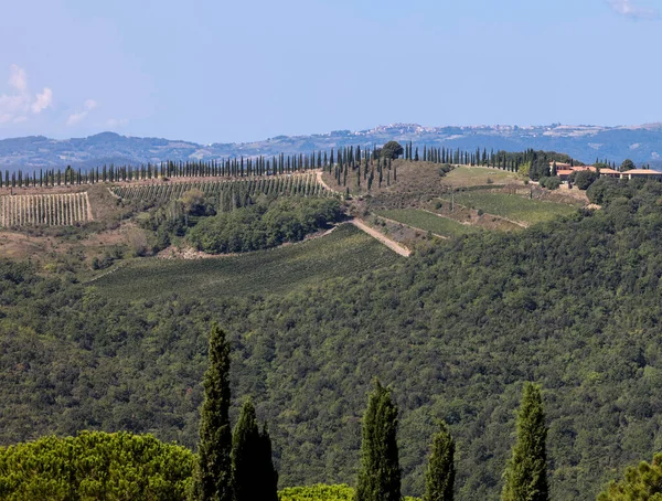 托斯卡纳皮恩扎附近的乡村风景 意大利 — 图库照片