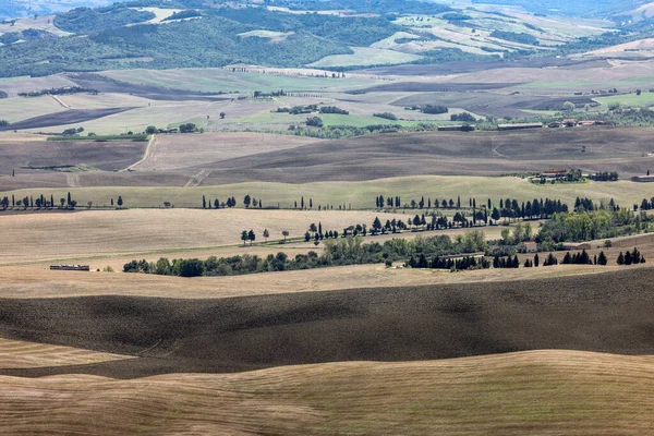 Die Ländliche Landschaft Der Nähe Von Pienza Der Toskana Italien — Stockfoto