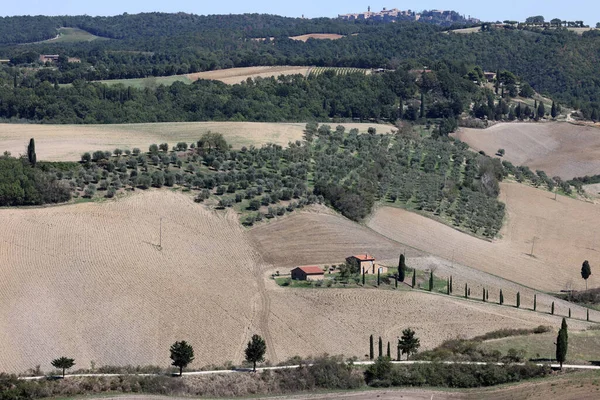 托斯卡纳皮恩扎附近的乡村风景 意大利 — 图库照片