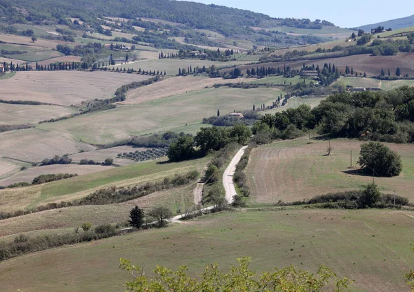 トスカーナのピエンツァ近くの田園風景 イタリア — ストック写真