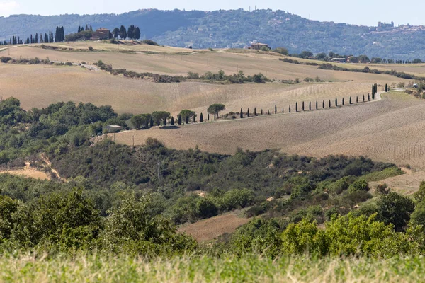 Сельский Пейзаж Пьяццей Тоскане Италия — стоковое фото