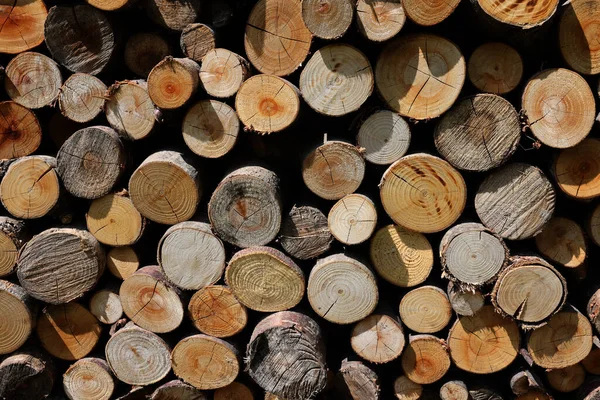 Stack Firewood Prepared Winter — Stock Photo, Image