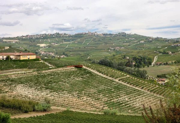 Weinberge Langhe Der Nähe Von Grinzane Cavour Unesco Stätte Piemont — Stockfoto