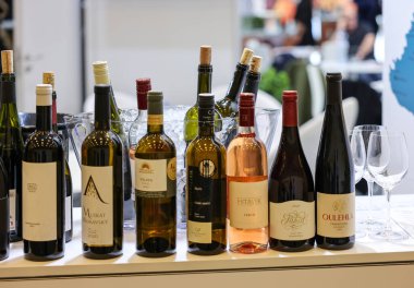 Cracow, Polonya - 17 Kasım 2022: Uluslararası Şarap Fuarı ENOEXPO, Krakow. Dünyanın dört bir yanından şarap üreticileri ithalat dağıtımcıları ve temsilcileriyle tanışıyor.. 