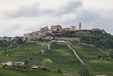 La Morra yakınlarındaki Langhe üzüm bağları, Unesco Sitesi, Piedmont, İtalya