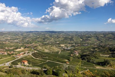 Barolo ve La Morra yakınlarındaki Langhe üzüm bağları, Unesco Sitesi, Piedmont, İtalya