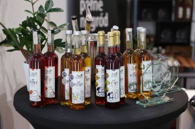 Cracow, Polonya - 17 Kasım 2022: Uluslararası Şarap Fuarı ENOEXPO, Krakow. Dünyanın dört bir yanından şarap üreticileri ithalat dağıtımcıları ve temsilcileriyle tanışıyor.. 