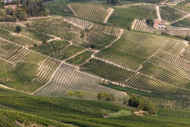 Barolo ve La Morra yakınlarındaki Langhe üzüm bağları, Unesco Sitesi, Piedmont, İtalya