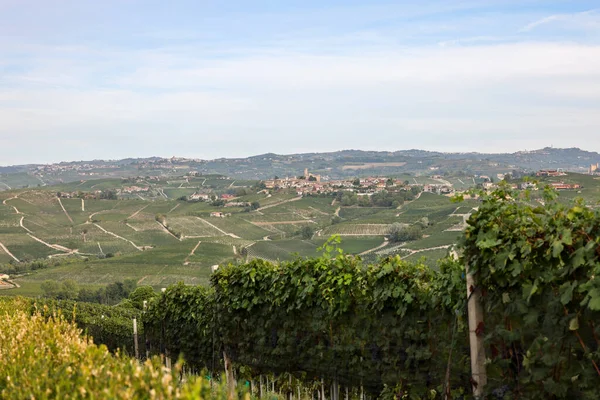 Ланге Виноградники Біля Серралунга Альба Unesco Site Piedmont Italy — стокове фото