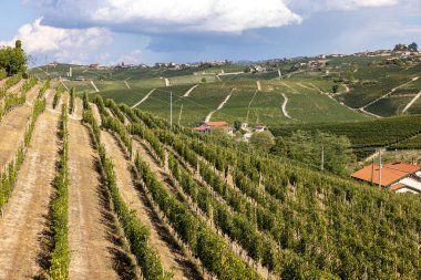 Langhe vineyards near Barolo Unesco Site, Piedmont, Italy