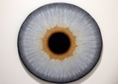 Venedik, İtalya - 6 Eylül 2022: Venedik 'te 59. Venedik Sanat Bienali. İsveçli ressam Ulla Wiggen tarafından yapılan bir dizi göz küresi resmi. Panelde akrilik