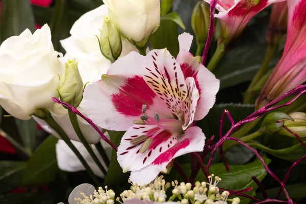 Beautiful Florist Bouquet Roses Freesias — Stockfoto