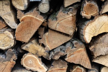  Kış için hazırlanmış odun yığını 