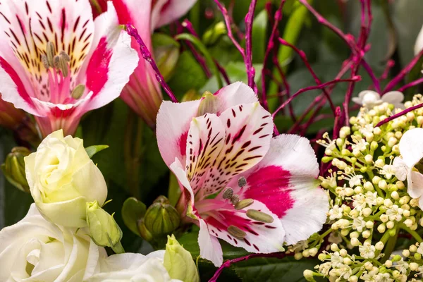 Красивий Квітковий Букет Троянд Фрезії — стокове фото