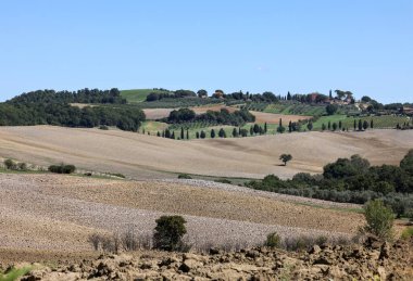  Tuscany 'deki Pienza yakınlarındaki kırsal alan. İtalya