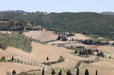  Tuscany 'deki Pienza yakınlarındaki kırsal alan. İtalya