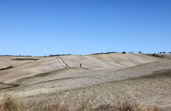 Αγροτικό Τοπίο Κοντά Στο San Quirico Στην Τοσκάνη Ιταλία — Φωτογραφία Αρχείου