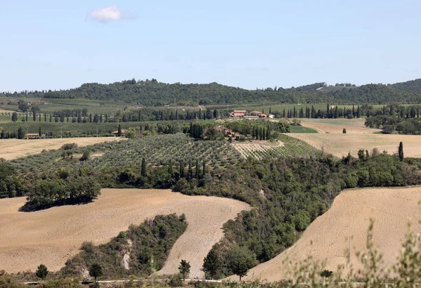 Αγροτικό Τοπίο Κοντά Στην Pienza Στην Τοσκάνη Ιταλία — Φωτογραφία Αρχείου