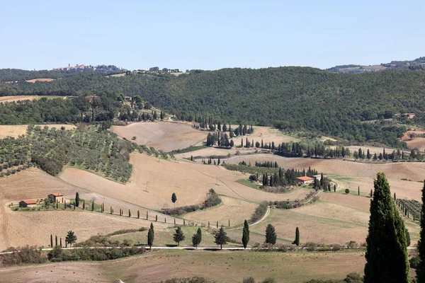 Paesaggio Rurale Vicino Pienza Toscana Italia — Foto Stock