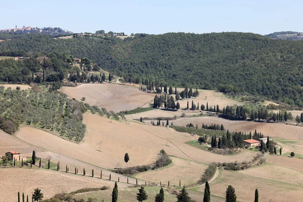 Landskapet Nära Pienza Toscana Italien — Stockfoto