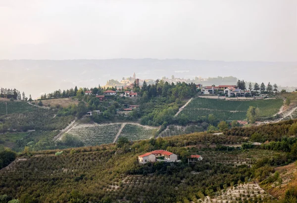 Piedmont, İtalya 'da Albaretto della Torre bölgesinde fındık ağaçları