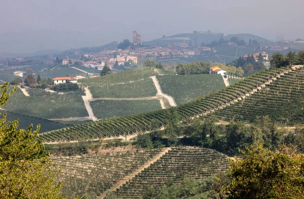 Barolo Morra Yakınlarındaki Langhe Üzüm Bağları Unesco Sitesi Piedmont Talya — Stok fotoğraf
