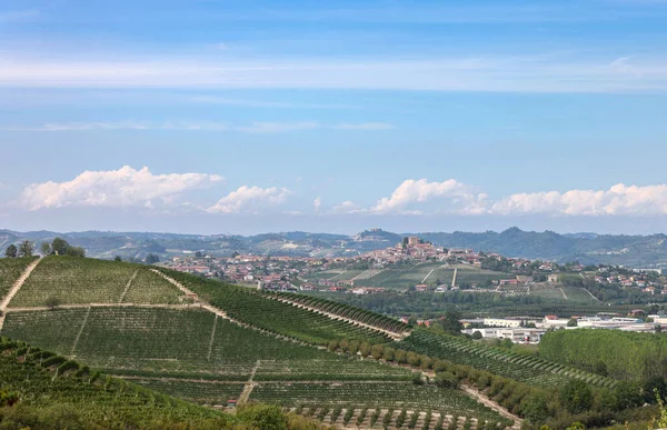 Vinhas Langhe Perto Grinzane Cavour Unesco Site Piemonte Itália — Fotografia de Stock