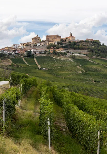モーラ近くのランゲのブドウ畑 ユネスコのサイト ピエモンテ州 イタリア — ストック写真
