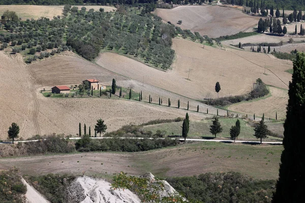Paysage Rural Près Pienza Toscane Italie — Photo