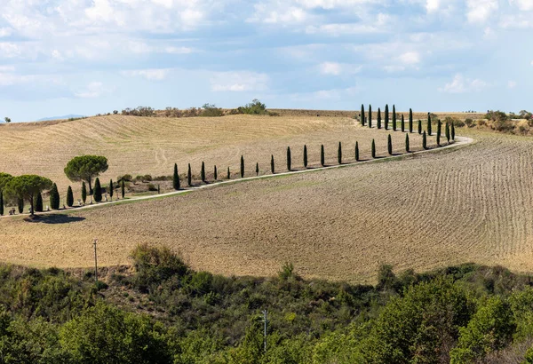 Het Landelijke Landschap Bij Pienza Toscane Italië — Stockfoto
