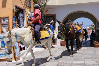 Oia, Santorini, Greece - July 3, 2021: Donkeys on the streets of Oia on the Santorini island. Greece