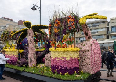 Noordwijk, Hollanda - 22 Nisan 2023: Bloemencorso Bollenstreek 'te Noordwijk' ten Hollanda 'daki Haarlem' e her yıl düzenlenen Bahar Çiçeği Geçidi 'nde muhteşem çiçekler kaplandı. 